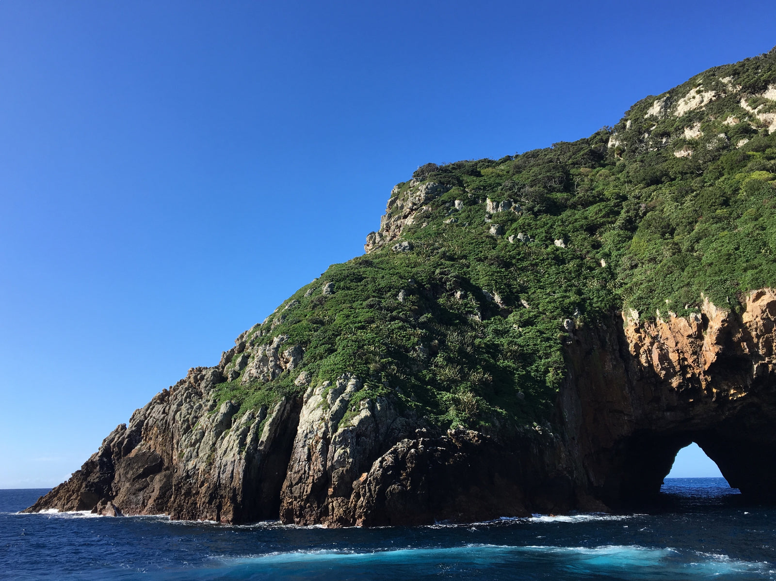 Poor Knights Islands NZ